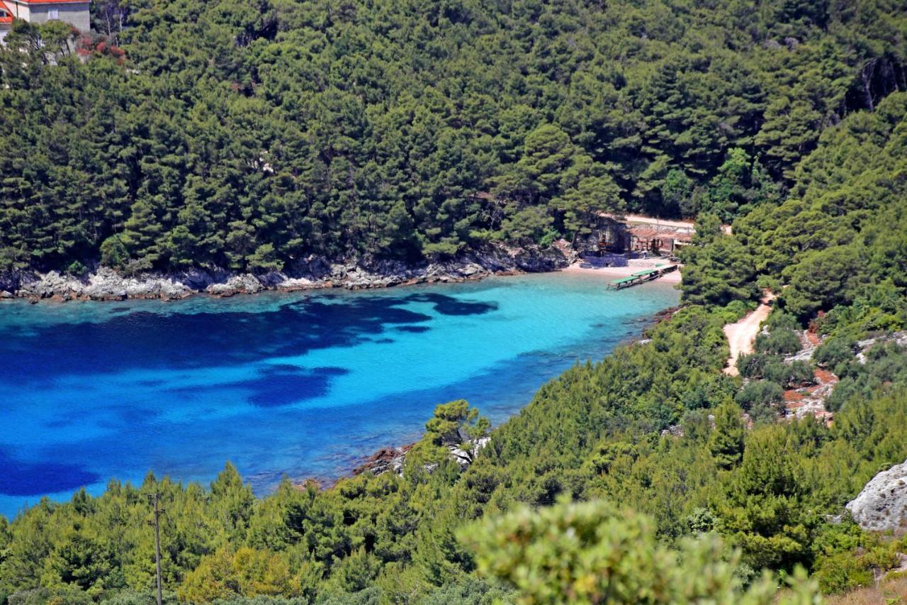 Apartments By The Sea Luka Dubrava, Peljesac - 284 Janjina Extérieur photo